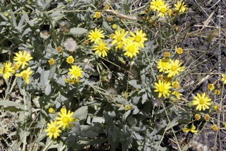rra delle Concazze-05-08-2014 11-23-42